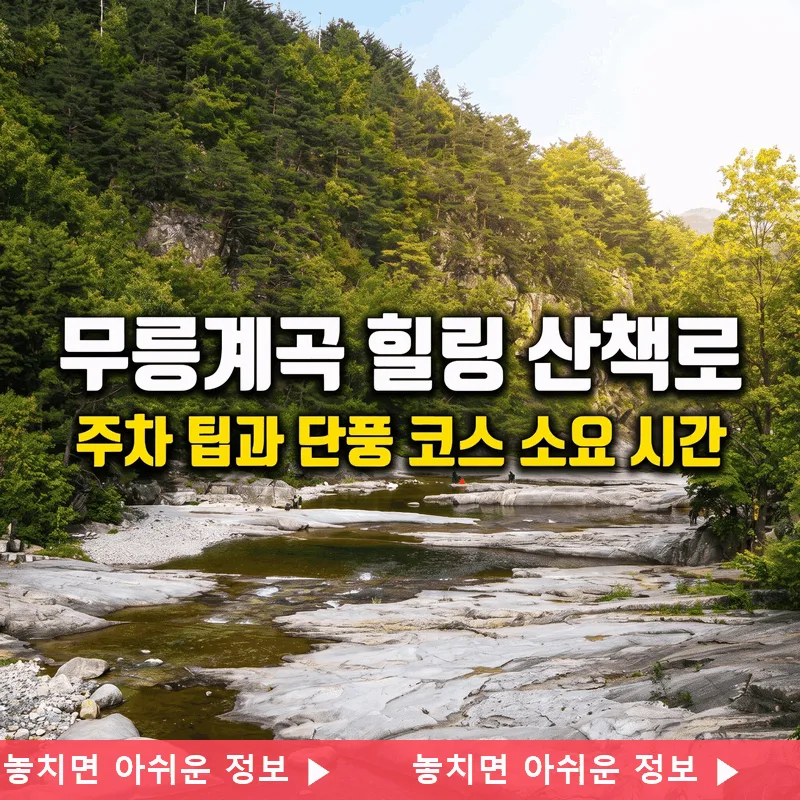 무릉계곡 힐링 산책로 주차 팁과 단풍 코스 소요 시간