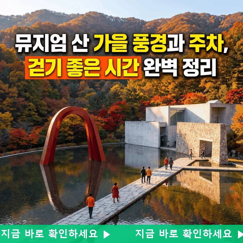 뮤지엄 산 가을 풍경과 주차, 걷기 좋은 시간 완벽 정리