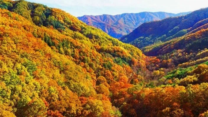 명지산 풍경 / 사진=한국관광콘텐츠랩
