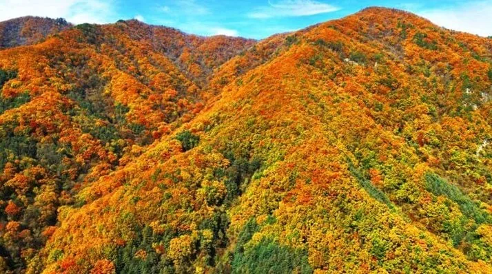 명지산 단풍 / 사진=한국관광콘텐츠랩