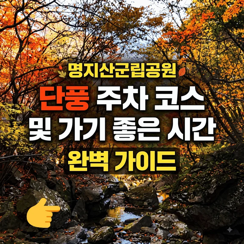 명지산군립공원 단풍 주차 코스 및 가기 좋은 시간 완벽 가이드