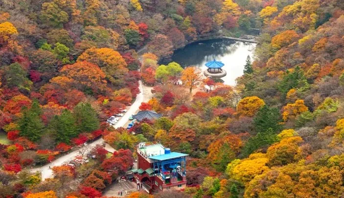 내장산 가을 전경 / 사진=게티이미지뱅크