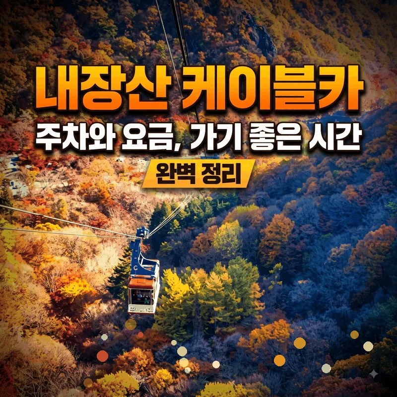 내장산 케이블카 주차와 요금, 가기 좋은 시간 완벽 정리