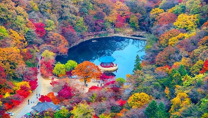 내장산국립공원 전경 / 사진=ⓒ한국관광공사 김지호