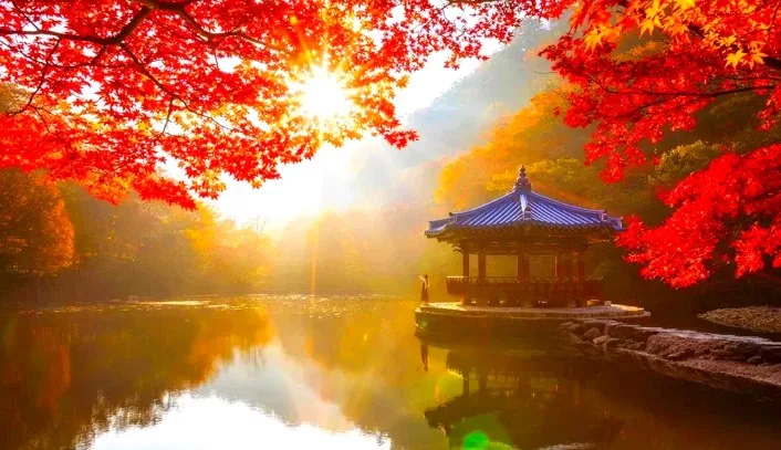 정읍 내장산국립공원 / 사진=ⓒ한국관광공사 정규진