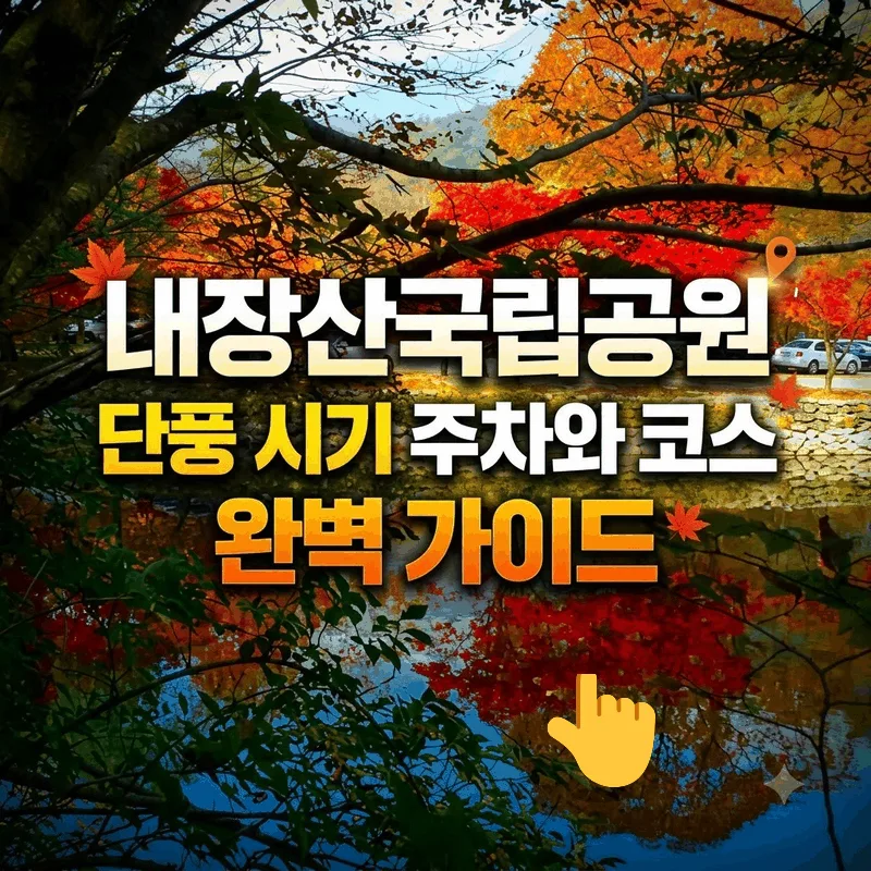 내장산국립공원 단풍 시기 주차와 코스 완벽 가이드