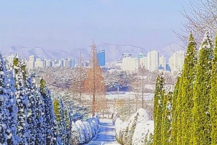 나주 전라남도 산림자원연구소 겨울 모습 / 사진=나주시
