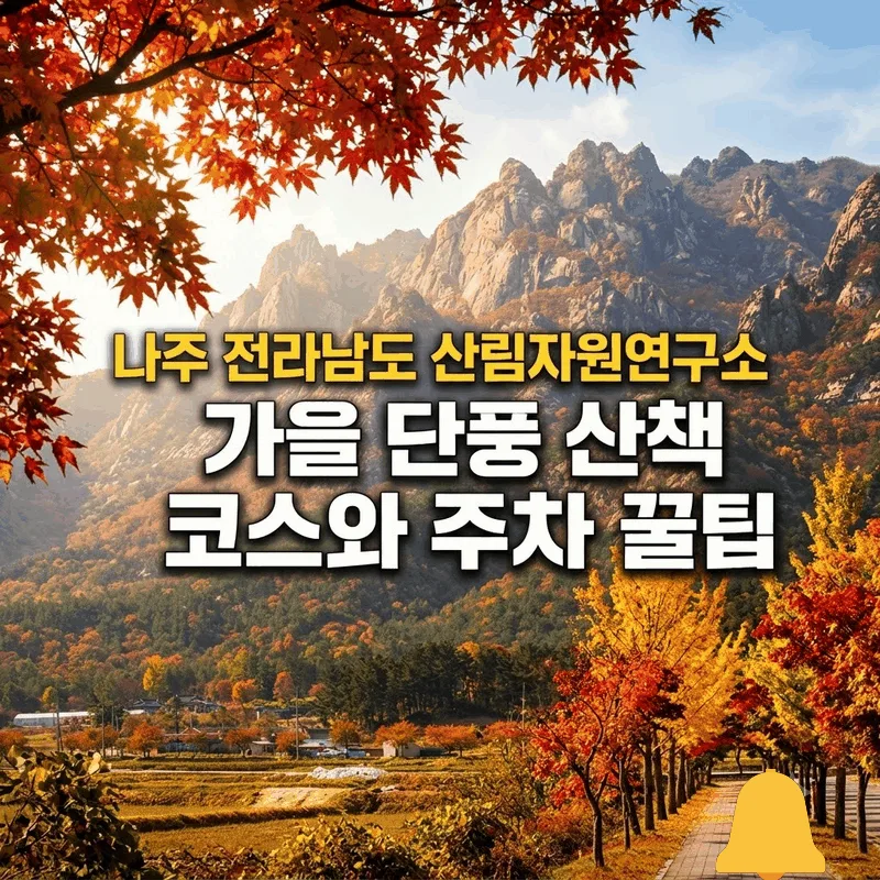 나주 전라남도 산림자원연구소, 가을 단풍 산책 코스와 주차 꿀팁