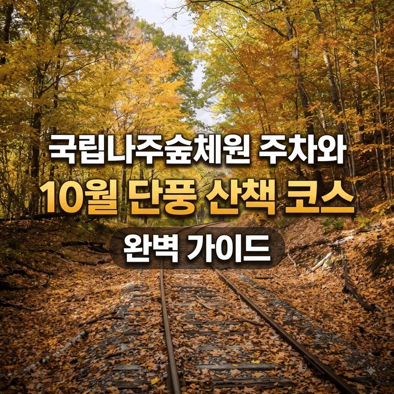 국립나주숲체원 주차와 10월 단풍 산책 코스 완벽 가이드