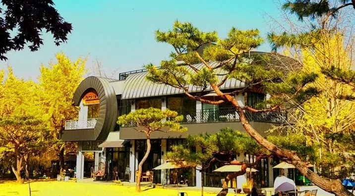 은행나무수목원 내부 카페 전경 / 사진=나주은행나무수목원