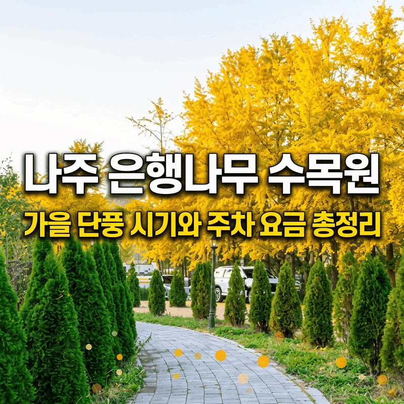나주 은행나무 수목원 가을 단풍 시기와 주차 요금 총정리