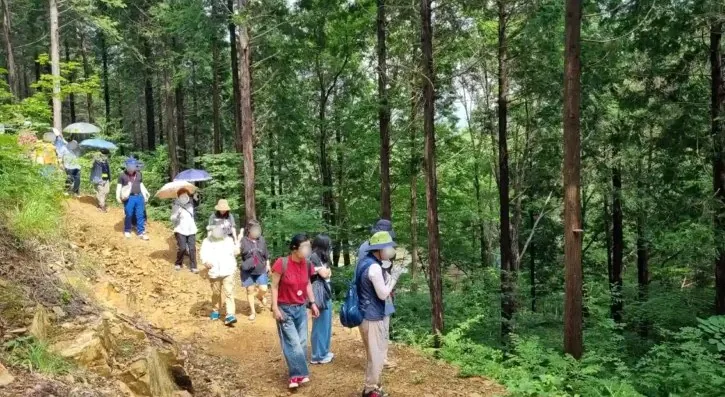 국립남해편백자연휴양림 숲속체험 프로그램 / 사진=산림청 국립남해편백자연휴양림(숲나들e)