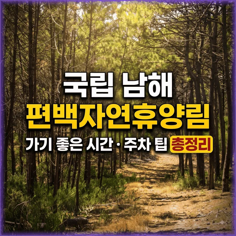 국립 남해 편백자연휴양림 가기 좋은 시간 주차 팁 총정리