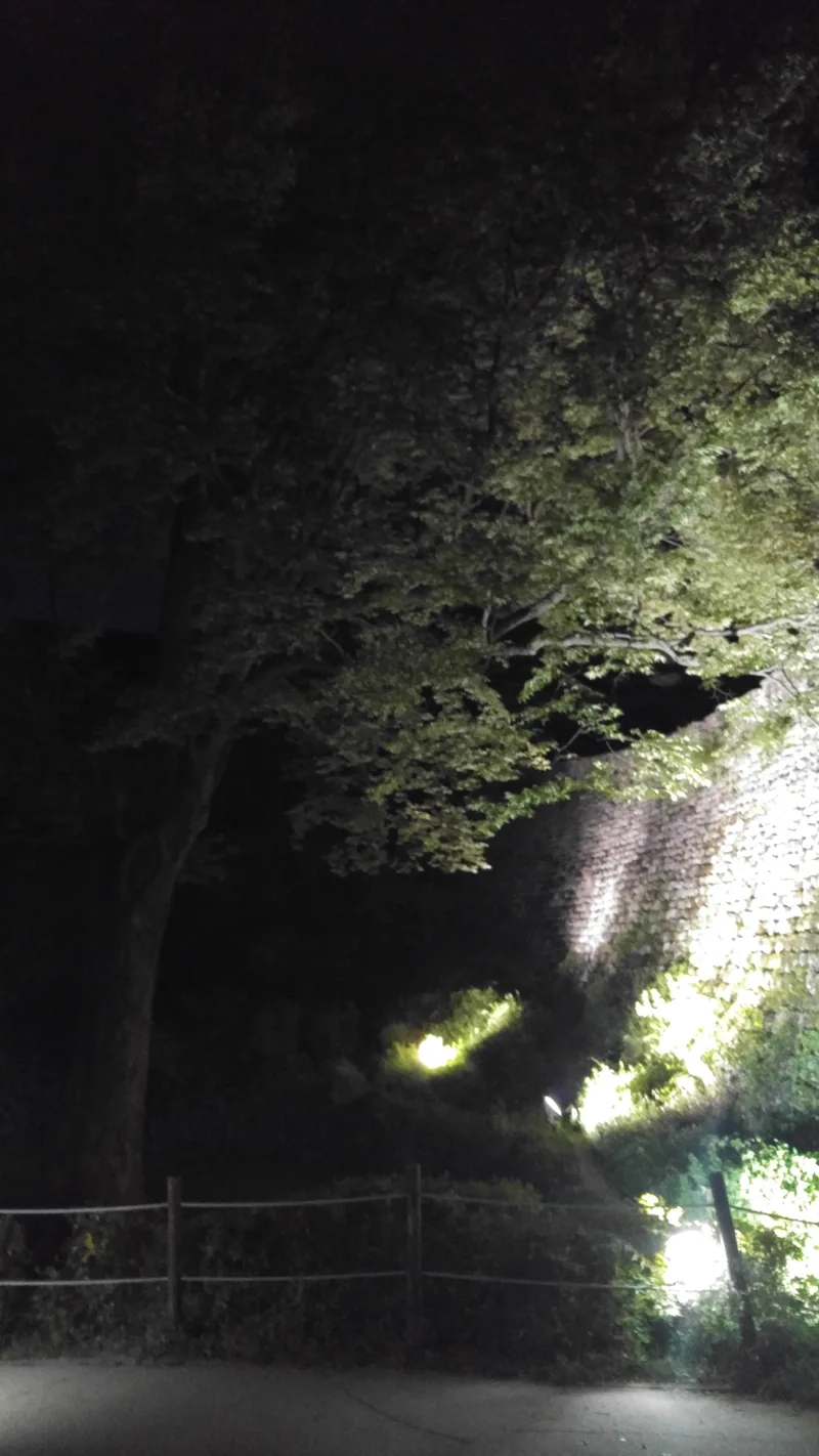 남한산성 야경 (1)