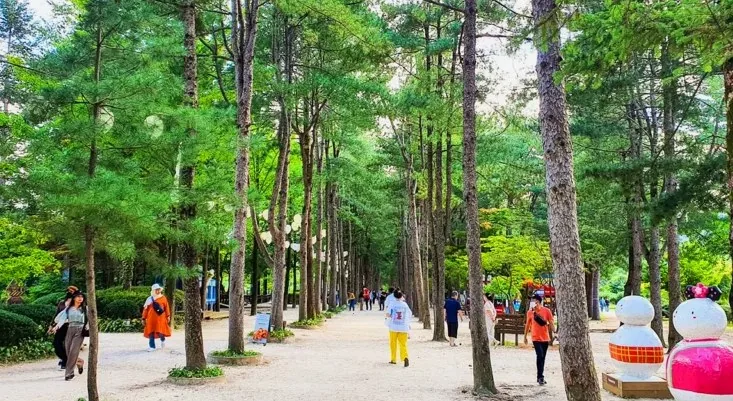 남이섬 풍경 / 사진=강원관광