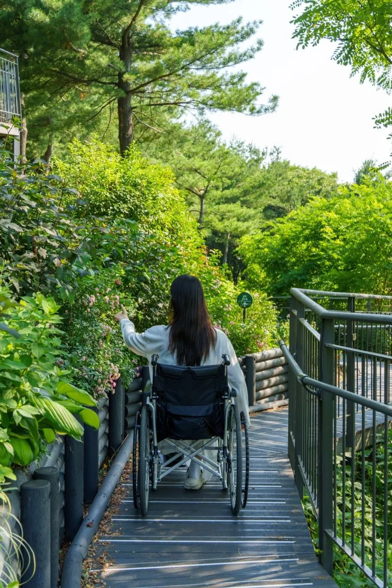 남산자락숲길
