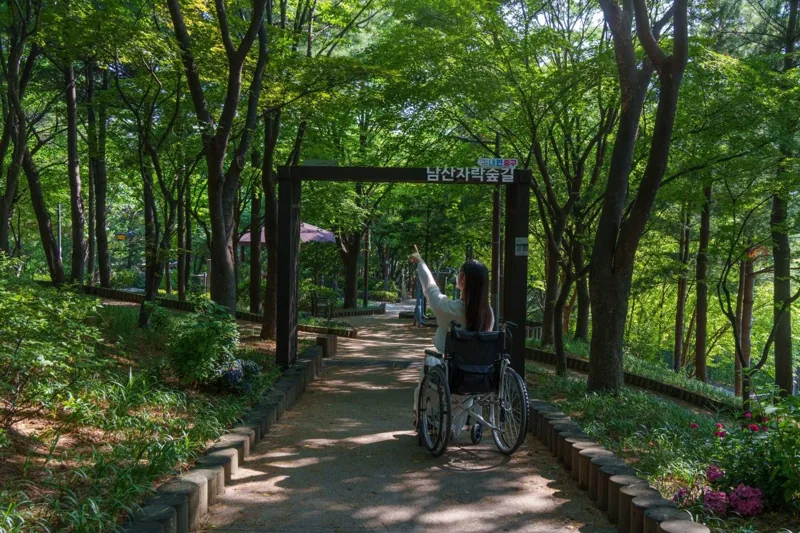 남산자락숲길