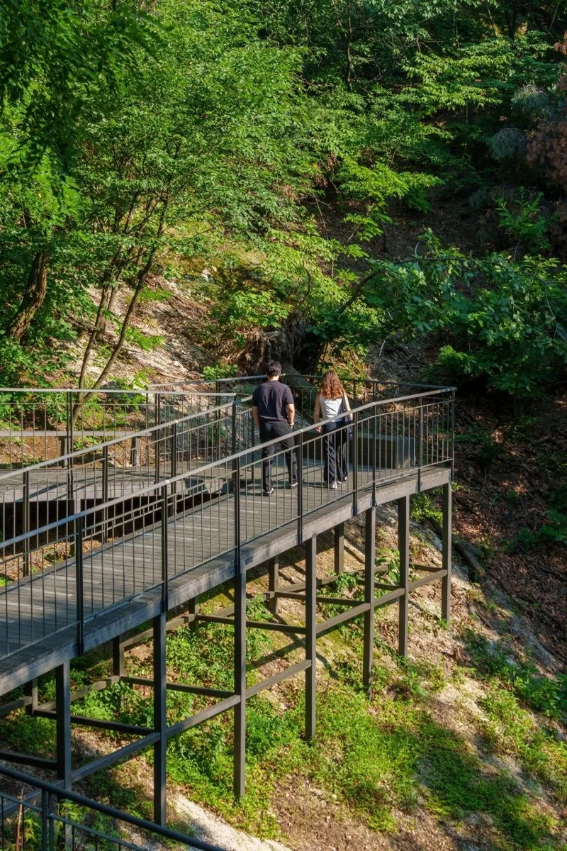 남산자락숲길