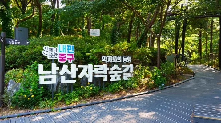 남산자락숲길 / 사진=ⓒ한국관광공사 한건우