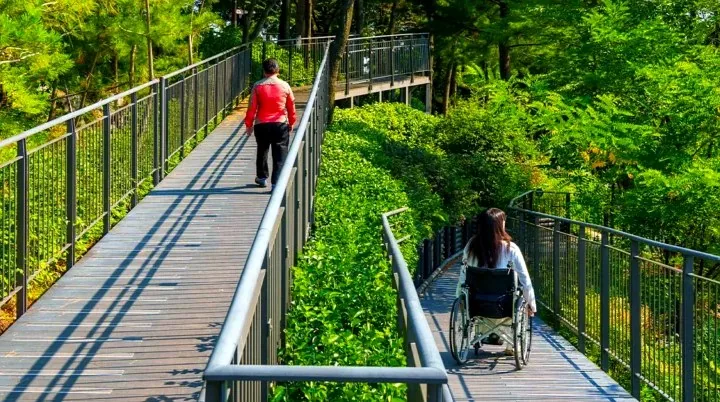 무장애 숲길 / 사진=ⓒ한국관광공사 한건우