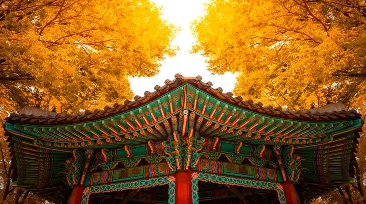 남산공원 단풍 / 사진=게티이미지뱅크