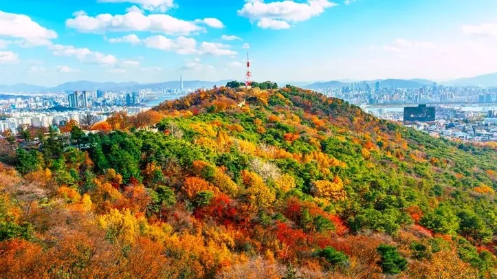 남산 가을 전경 / 사진=게티이미지뱅크