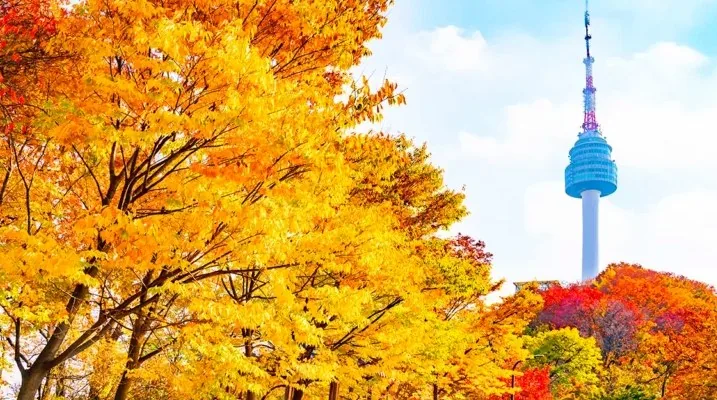 남산공원 가을 단풍 / 사진=게티이미지뱅크