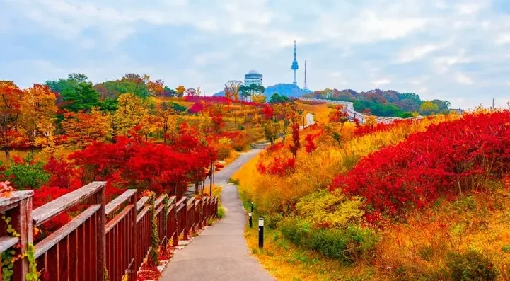 남산 가을 단풍 산책길 / 사진=게티이미지뱅크