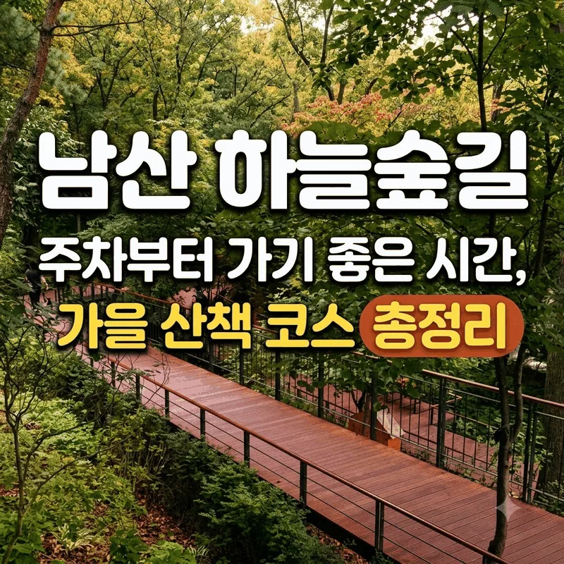 남산 하늘숲길 주차부터 가기 좋은 시간, 가을 산책 코스 총정리