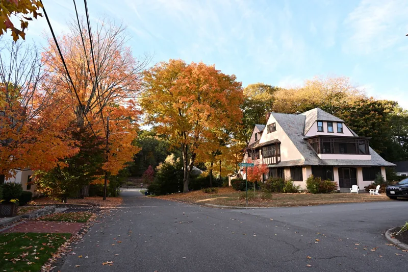 Autumn foliage in Wellesley Oct 2024 1