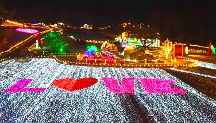 산들소리 낭만등불축제 / 사진=산들소리 공식 블로그
