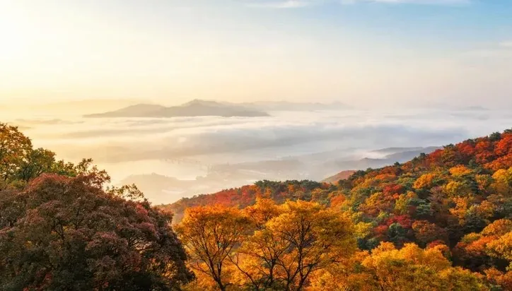 수종사 조망 / 사진=한국관광콘텐츠랩