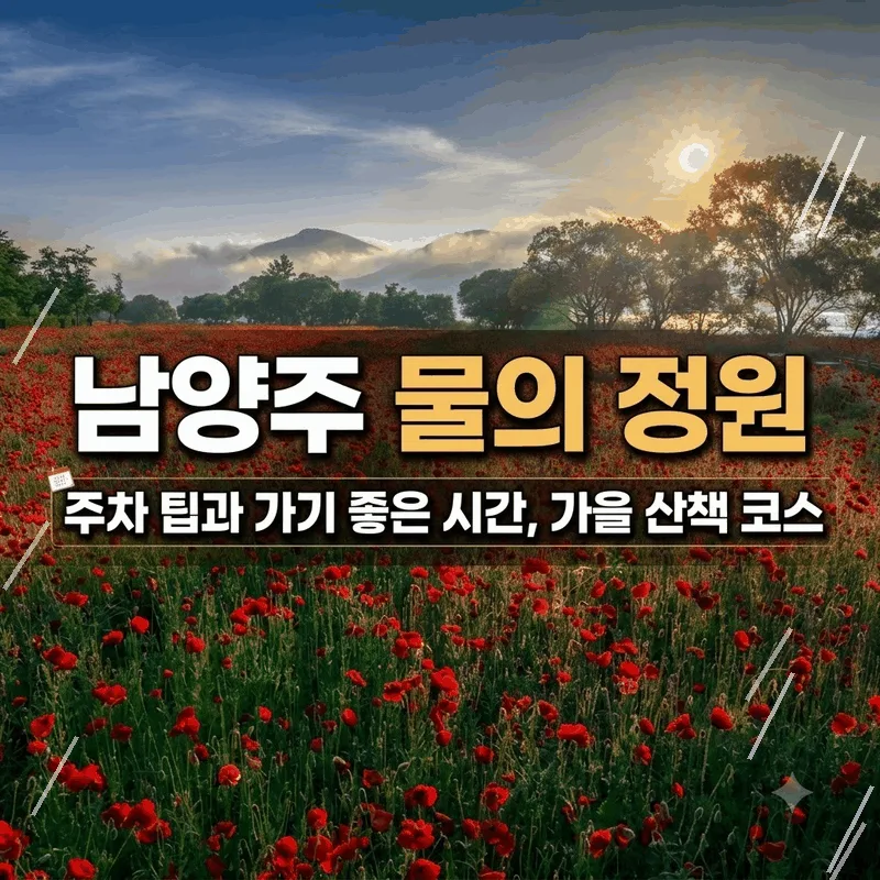 남양주 물의 정원 주차 팁과 가기 좋은 시간, 가을 산책 코스