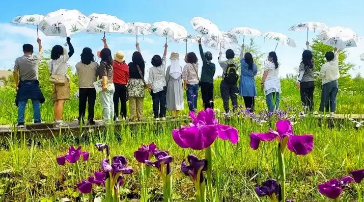 국립세종수목원 붓꽃원 / 사진=한국수목원정원관리원