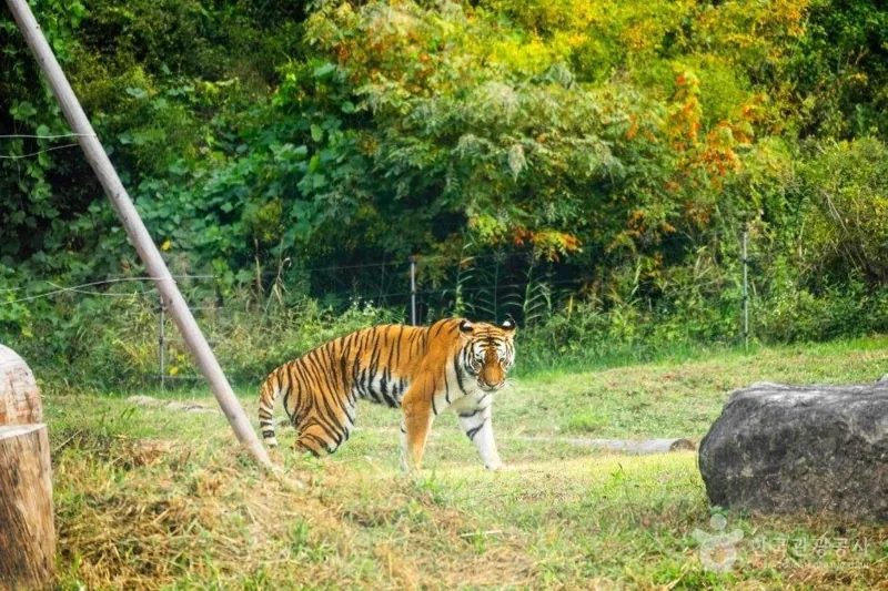 국립백두대간수목원