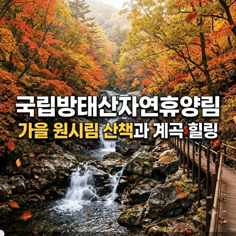 국립방태산자연휴양림, 가을 원시림 산책과 계곡 힐링