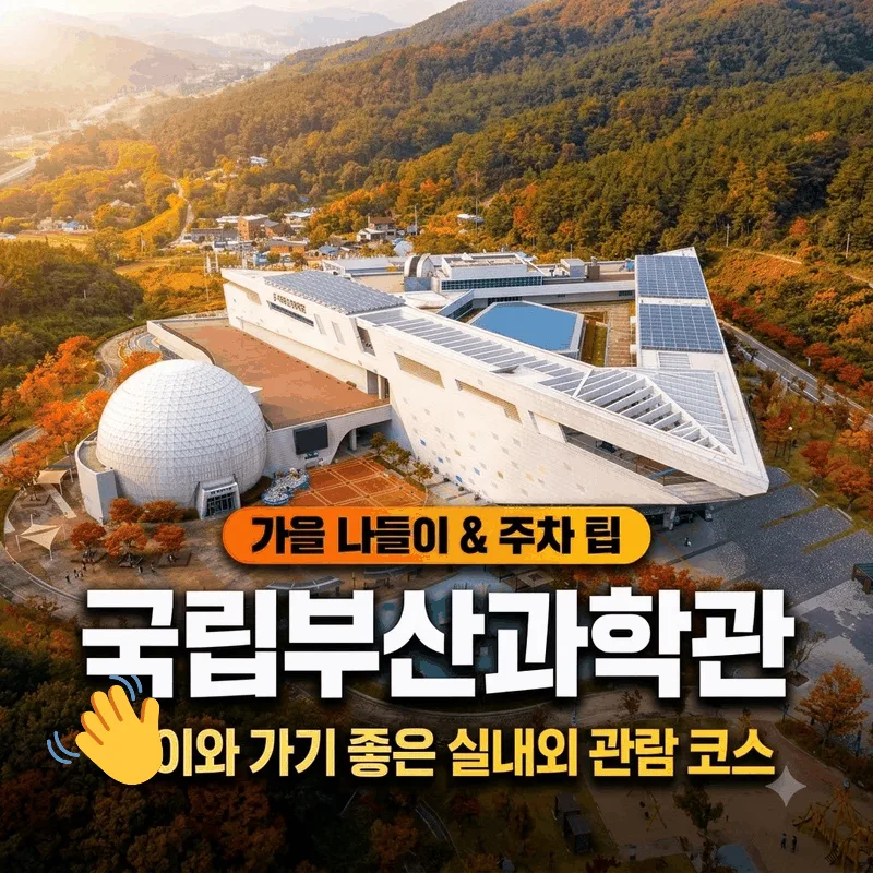국립부산과학관 가을 나들이와 주차 팁, 아이와 걷기 좋은 실내외 동선