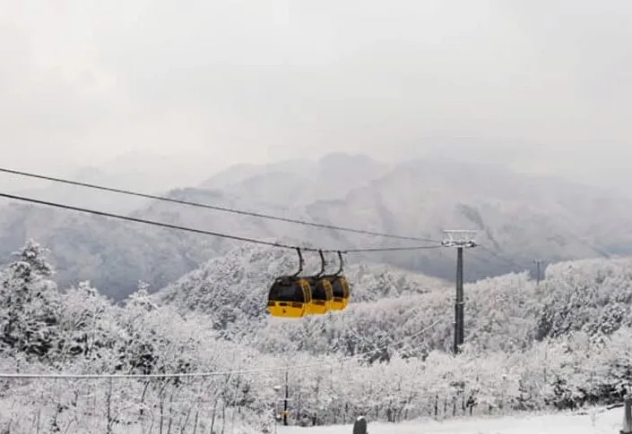 태백산 365 케이블카 / 사진=공식 홈페이지
