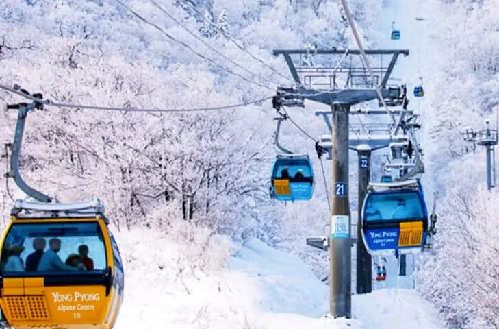 발왕산 케이블카 / 사진=공식홈페이지