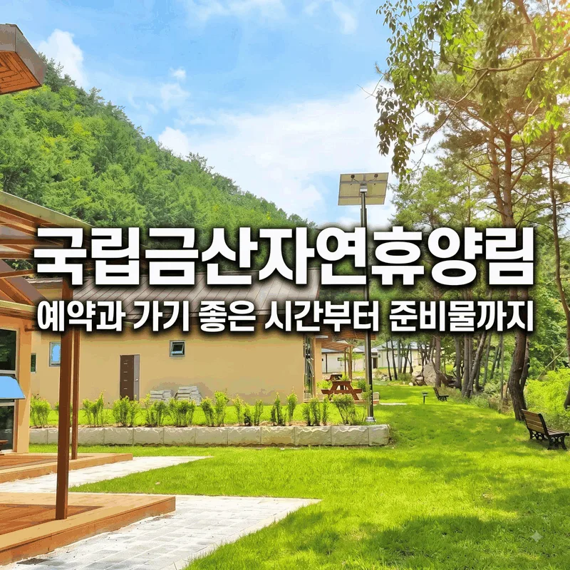 국립금산자연휴양림 예약과 가기 좋은 시간부터 준비물까지