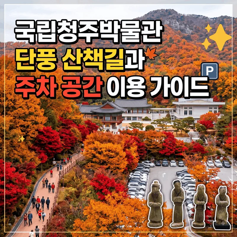 국립청주박물관 단풍 산책길과 주차 공간 이용 가이드