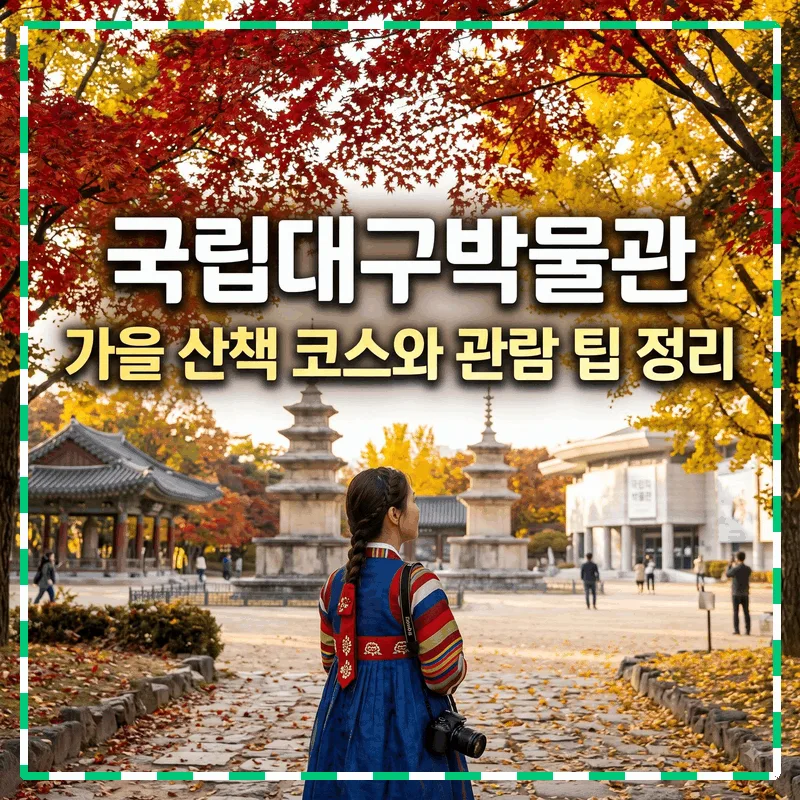 국립대구박물관 가을 산책 코스와 관람 팁 정리
