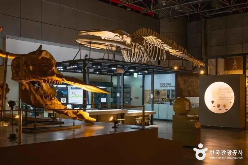 국립중앙과학관