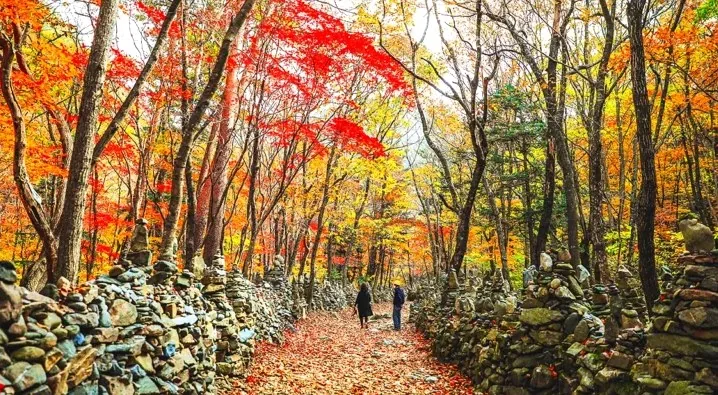 노추산 모정탑길 트레킹 / 사진=강원지사 모먼트스튜디오