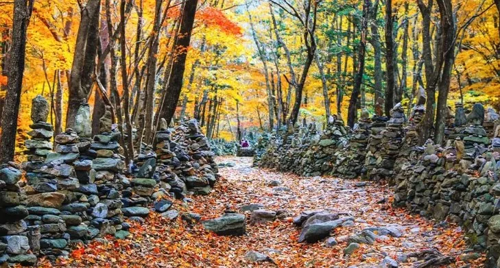 노추산 모정탑길 / 사진=강원지사 모먼트스튜디오