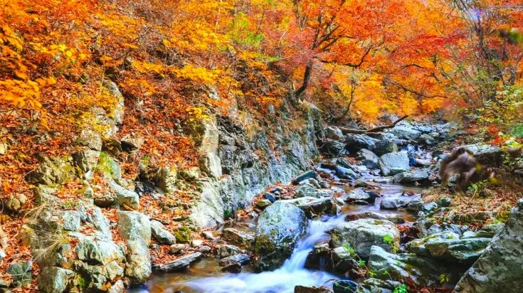 노추산 계곡 / 사진=강원지사 모먼트스튜디오