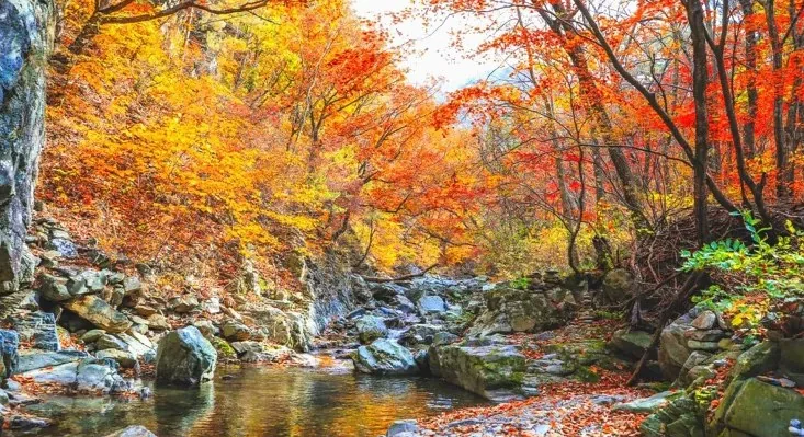 노추산 / 사진=강원지사 모먼트스튜디오