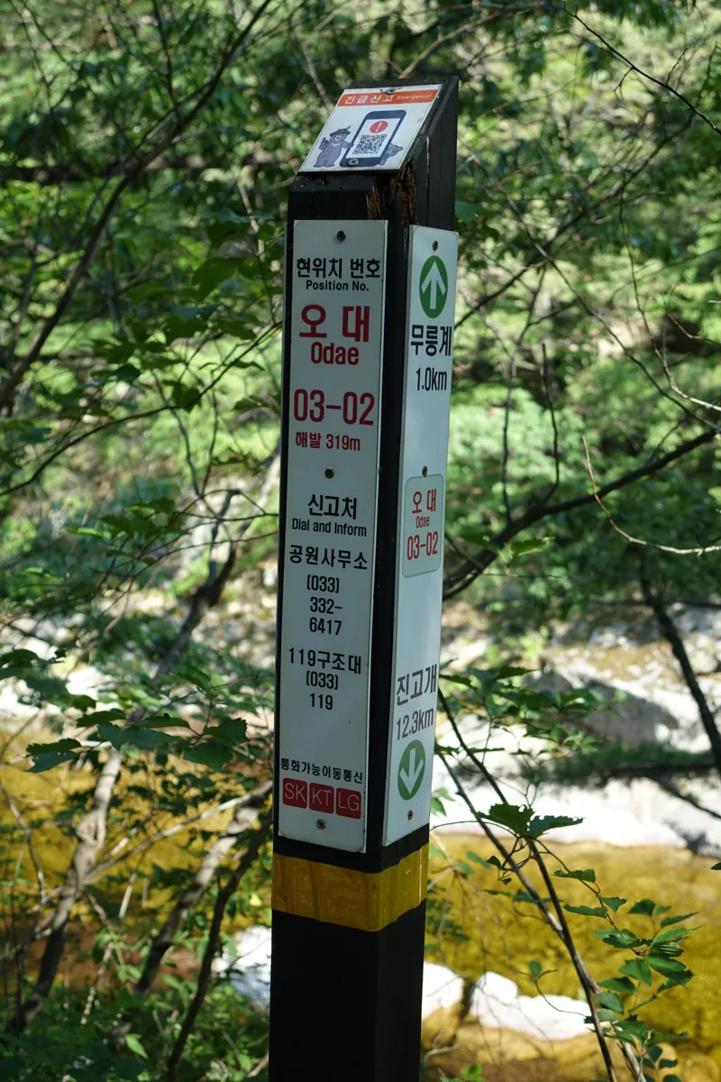 2016년 5월 29일 강원도 강릉시 소금강 DSC01282