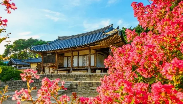 논산 명재고택 배롱나무 / 사진=한국관광콘텐츠랩