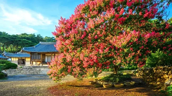 충남 논산 명재고택 / 사진=한국관광콘텐츠랩